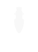 Firefly